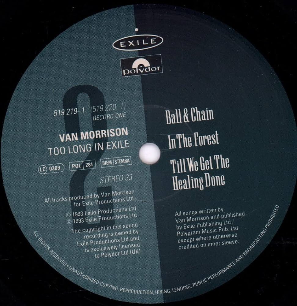 Too Long in Exile [VINYL]: Amazon.co.uk: CDs & Vinyl